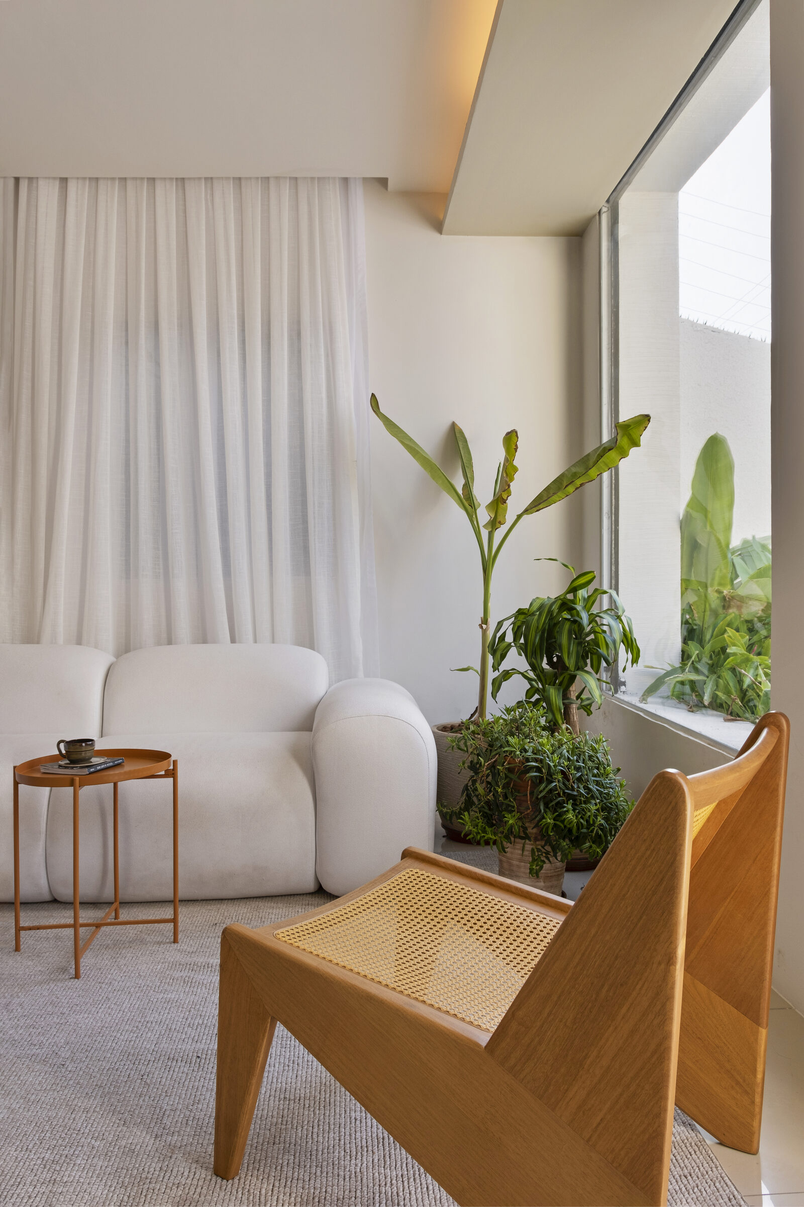 Cortina e planta em ambiente de descanso